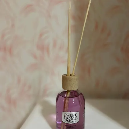 Condor Center דירה *